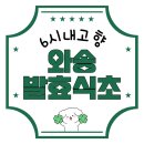 논산와송 | 6시내고향 와송 발효식초 택배 주문 충남 논산 천연 자연 발효 식초 딸기 사과 식초 잇초 문의 7월 24일