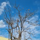 토함민속식당 이미지