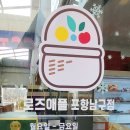 로즈애플자이