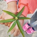 산림놀이 이미지