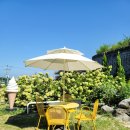 카페서산수 | [카페 서산수] 서산 삼길포 주차 편한 쾌적한 카페 추천