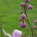 금광오산로 이미지