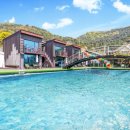 가평가보자독채애견풀빌라수영장 이미지