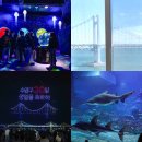 이라움 | 부산 한달살기 광안리 오션뷰 숙소 미스터멘션 부산 가볼만한곳 추천!