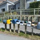 제트라인 | 뉴질랜드 퀸스타운 액티비티 샷오버 제트보트 SHOTOVER JET 후기(클룩 예약)