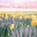 참좋은인연 이미지