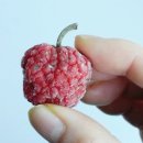 노루목농장 이미지