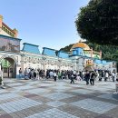 오월드 | 대전 오월드 야간사파리 놀이시설 후기