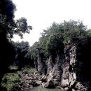 한라산천연보호구역 이미지