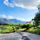 도화민박 이미지