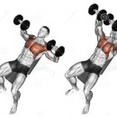 프레스밀 이미지