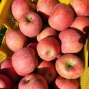 햇뜰농장 이미지