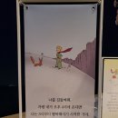 어린왕자와 사막여우 이미지