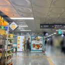 흙다방 | 명동 네일샵 추천 네일온 명동본점 - 을지로 네일샵 위치 상세 파고드는발톱 관리 + 봄맞이 젤패디 후기