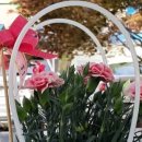 울진봄날애햇살 이미지