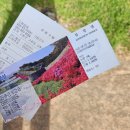 향리옥 | 고창 [고창읍성] 2025.9.방문후기/ 추석연휴 무료개방
