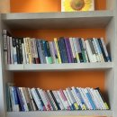 나랑놀개 | 짱짱 위드놀 심리상담센터 후기!