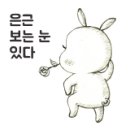 분당종로약국 이미지