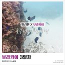 예그리나 약국 | 보라카이 자유여행 ⑨ :: 3일차, 보라카이 화이트비치 스노클링