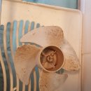 승우2차아파트 이미지