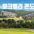 노블레저산업 이미지