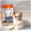 하트덴탈랩 | 청담닥터스랩 기능성 사료 &amp; 간식 &amp; 껌 리뷰