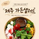 고려가든 - 상주시 경상대로 2868 | 제주샐러드 정기배송 추천! 가든샐러드 이용후기