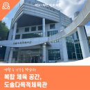 도솔다목적체육관(농구, 배드민턴) | 생활 속 건강을 책임지는 복합 체육 공간, 도솔다목적체육관