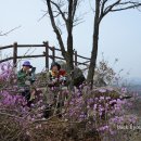 대전 구봉산 진달래 산행 이미지