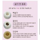눈설레떡케이크 이미지