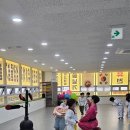 타이거 유치부 태권도 전용관 이미지