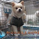 용신지구대 이미지