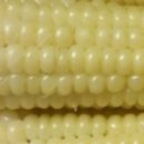 고운농장 이미지