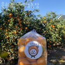 은하농장 이미지