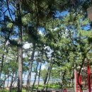 낙지공원 노을길야영장 무인카페 이미지