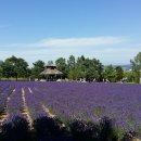 골몰농장 이미지