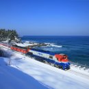 신철원약국 이미지