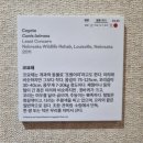나무늘보움직임연구소 | 내셔널지오그래픽 사진전 <사진으로 엮은 생명의 방주, 포토아크>