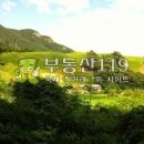 대불리목장 Daum카페