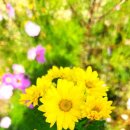 뉴황금부동산공인중개사사무소 이미지