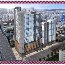 로얄환경 이미지