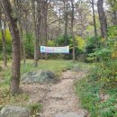 엄광산 동구경계 이미지