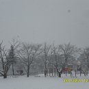 인흥초등학교 이미지