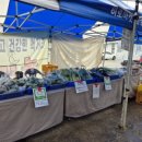 김윤태농장 이미지