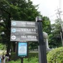 치악산둘레길 10코스 아흔아홉골길 | 아흔아홉골/치악산 둘레길 10코스(2025. 07. 05)