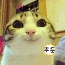 이모네포장마차 이미지