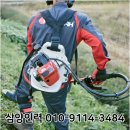 계성장마로 이미지