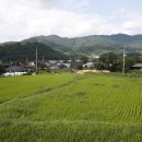 문덕면 법화경로당 이미지