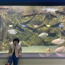 장씨수산