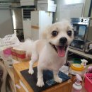 무전6길 이미지